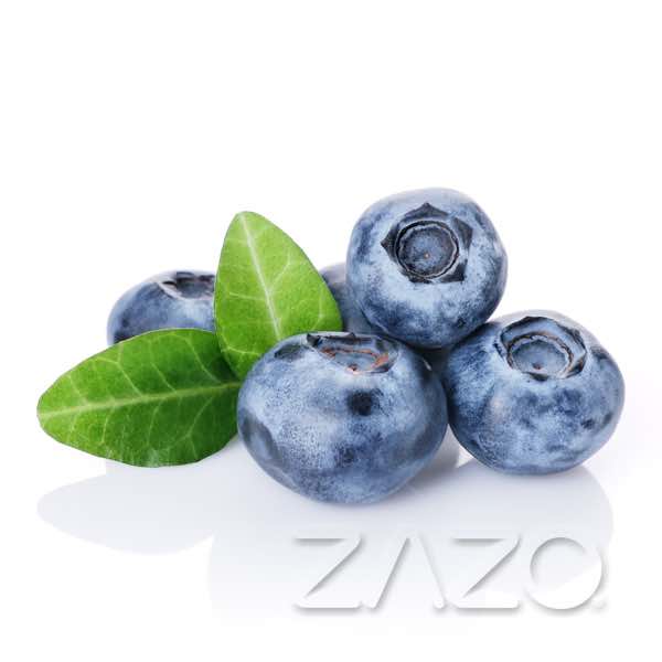 Zazo Blueberry E - Zigaretten Liquid - Haus des Dampfes