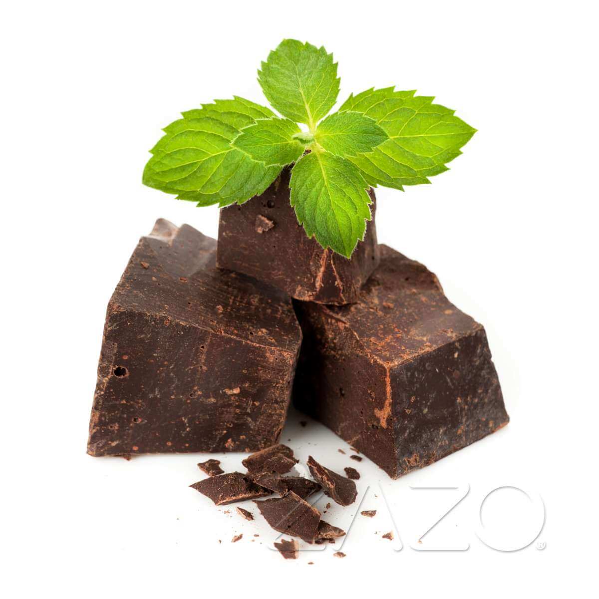 Zazo Choc - Mint E - Zigaretten Liquid - Haus des Dampfes